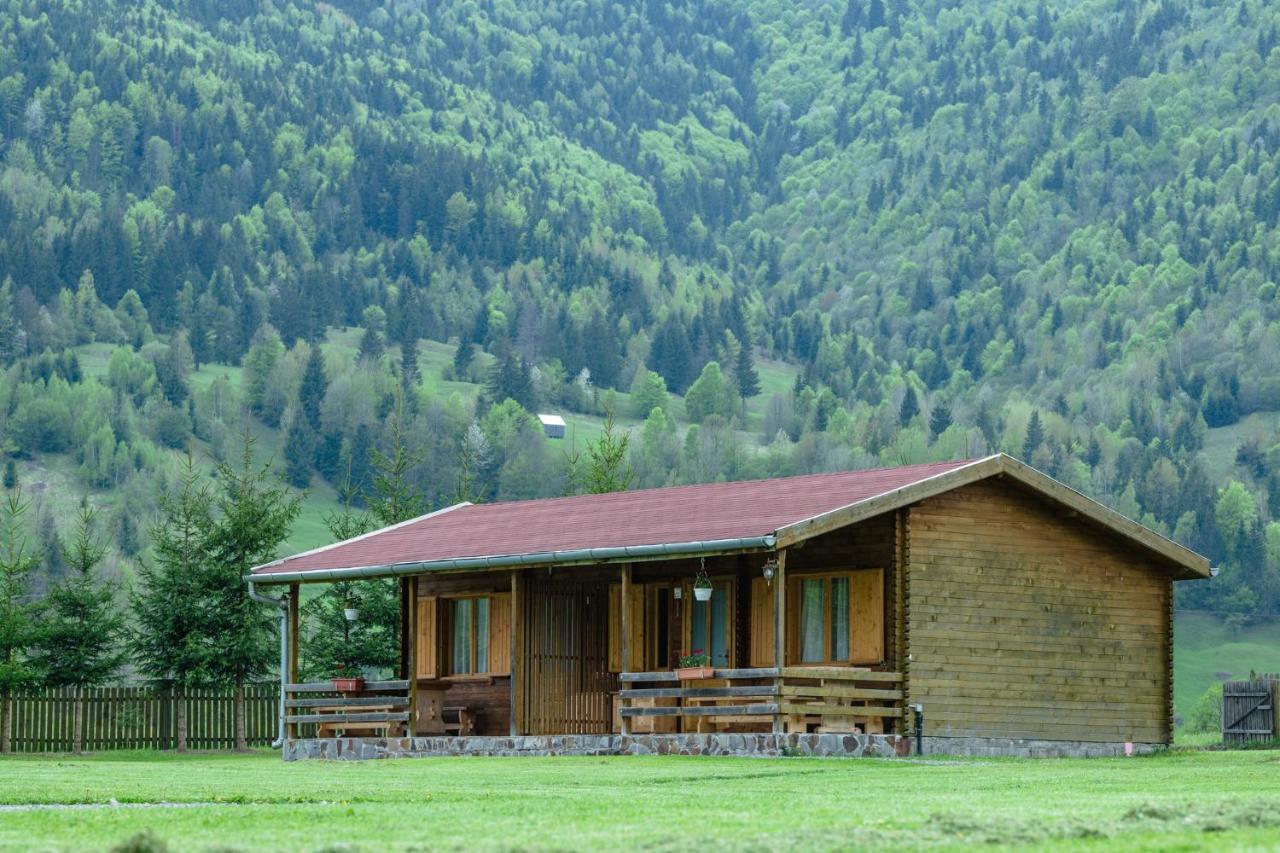 Biotour Camping & Restaurant Ghimeş-Făget Buitenkant foto